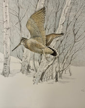 Carica l&#39;immagine nel visualizzatore di Gallery, NicK EDEL (Bordighera 1934-2022 Torino)
