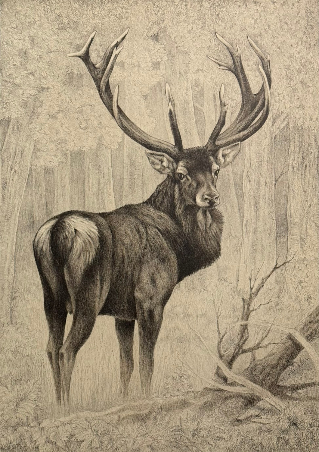 Nick EDEL (Bordighera 1934-2022 Torino)