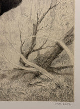 Carica l&#39;immagine nel visualizzatore di Gallery, Nick EDEL (Bordighera 1934-2022 Torino)
