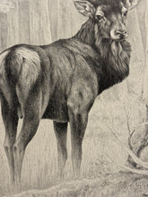 Carica l&#39;immagine nel visualizzatore di Gallery, Nick EDEL (Bordighera 1934-2022 Torino)
