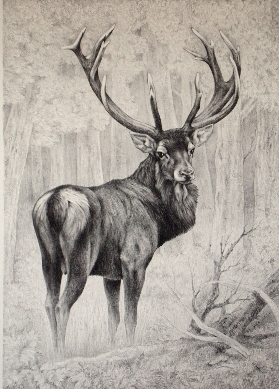 Nick EDEL (Bordighera 1934-2022 Torino)